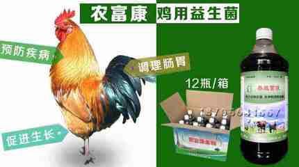 益菌多维 解锁蛋鸡高产稳产的复合保健新策略